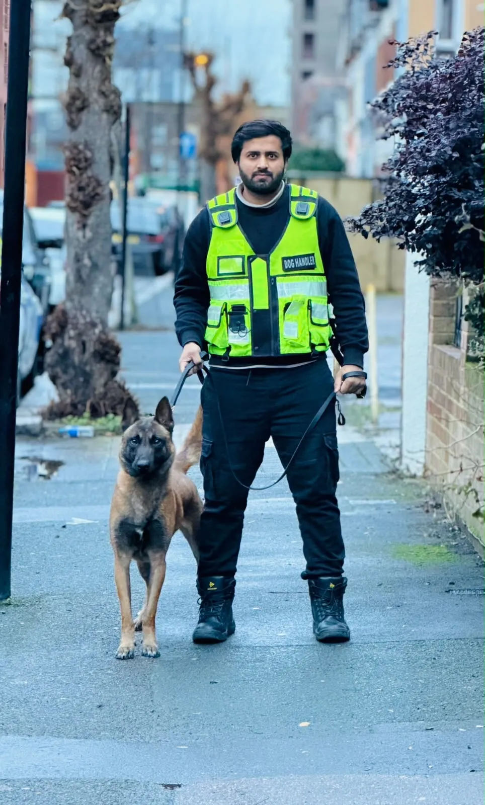 Dog handler in a high-visibility vest with a Belgian Malinois on a lead in a street